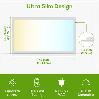 2x4 LED Flat Panel Light (2 Pack)