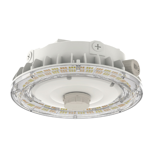 Canopy Lights